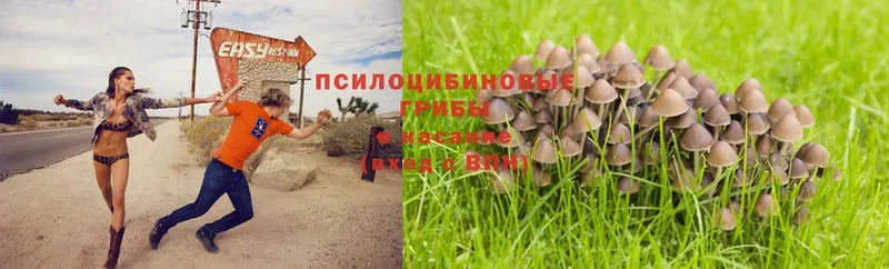 Галлюциногенные грибы Magic Shrooms  Нолинск 